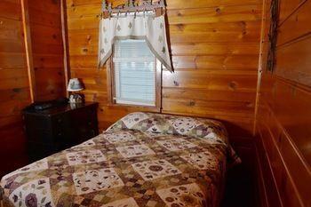 ホテルLucky Horseshoe Cabins Au Sable エクステリア 写真